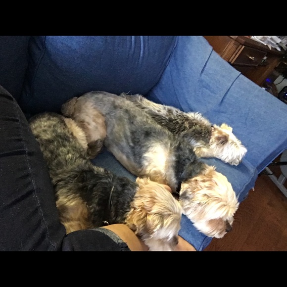 Meet your Posher, Nancy - Picture 1 of 1